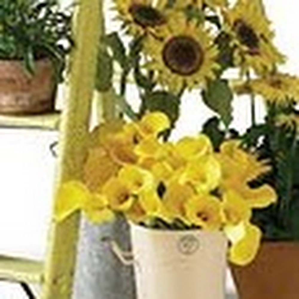 Meet your Posher, Carla